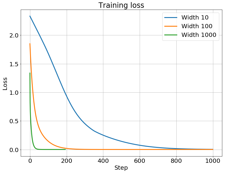 loss curves